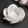 Climber "Rose" 5x10cm, mother -of -pearl