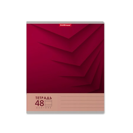 Notebook of 48 sheets in the Erichkrause "Duotone Next", cover coated cardboard, an offset block 100% whiteness, mix-2