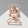 Brooch "Nurse" Outline, Color Gold