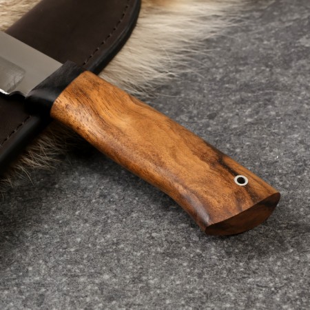 Tourist knife "Shark"-1