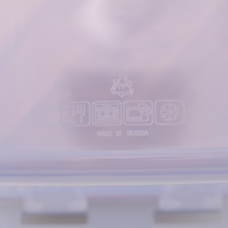 Container of food 900 ml with a sealed lid, color mix-2