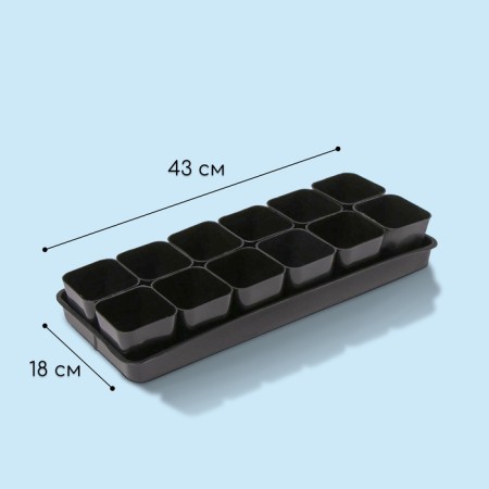 Set for seedlings: glasses of 300 ml (12 pcs.), Patron 43 × 18 cm, mix, Greengo-2