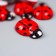 Decorative element "God's cows" 9x13 mm