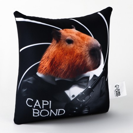 Antistress Pillow "Kapibond"-4