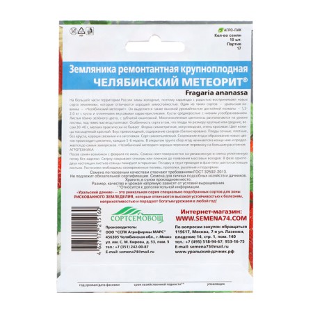 Strawberries "Chelyabinsk meteorite", 10 pcs-1