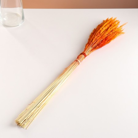 Set of dried flowers "Weinik", banch length 65 (+/- 6 cm), orange-3