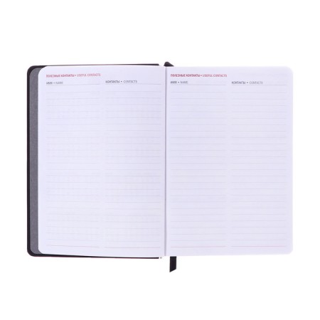 Dated diary 2025, A6+, 176 sheets "Lyon", solid cover, pancake embossing, with liesa, block 80 g/m2, black-7