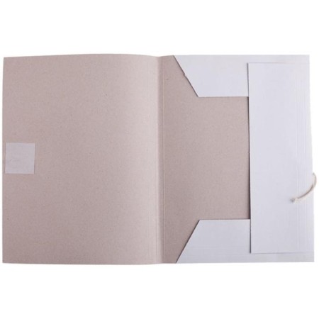 Folder D/Papers A4, on the ties, calligrata, 250 g/m2, up to 200l, white, cardboard nonsense-2