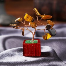 Bonsai souvenir 
