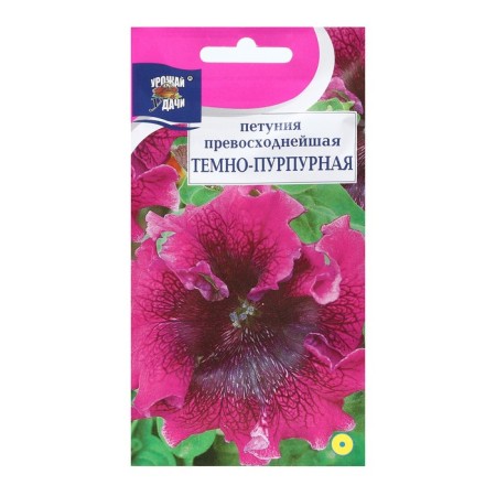 Petunia flowers "dark purple", 0.01 g in amp.