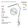 NLED-496-12W-S desktop lamp on the silver clamp