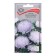 Flower seeds Astra Pionovid "Silver Tower", 0.3g.