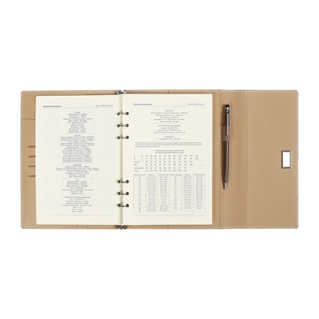 Organizer on the rings A5, 100l, line, K/deputy, with a pen, in gift. box., Gray-8