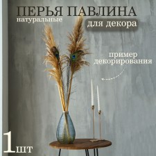 Feather of peacock for decor, size - from 80 to 90 cm