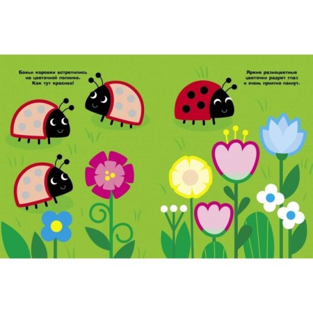 Ladybugs. Issue 16. Mavrina L.-1