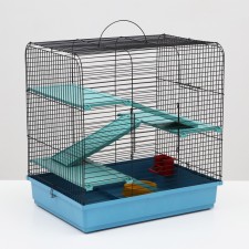 Senya 3-b rodent cell, 49 x 36 x 51 cm, mix of flowers