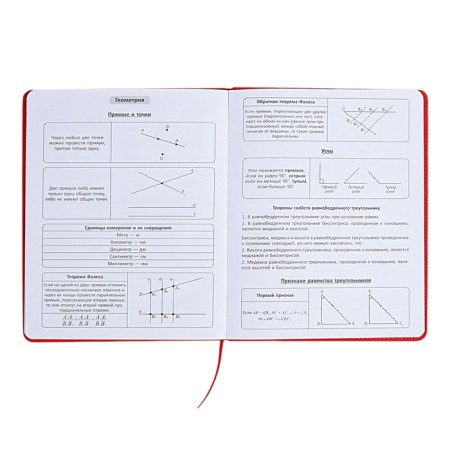 The universal diary for the 1-11 classes "Anime", a solid cover made of artificial leather, application, lies, 48 ​​sheets, red-8