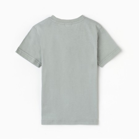 T-shirt for a boy, light gray/dinosaur, height 122-3