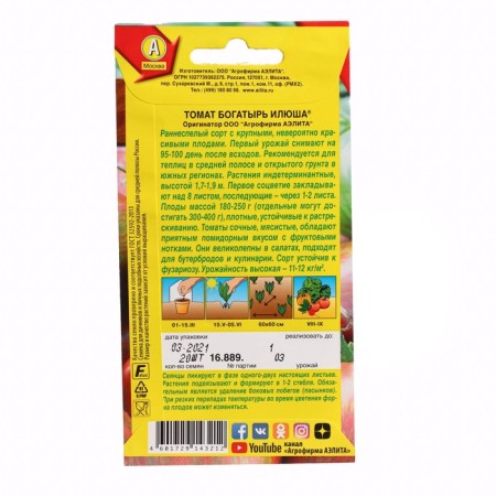 Seed Tomat "Bogatyr Ilyusha", c/n, 20 pcs-1