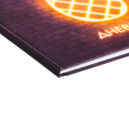 Diary for grades 5-11, "pineapple. Neon Sign", solid cover 7BC, matte lamination, selective varnish, 48 sheets-2