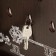 Key closed "Rules at home. Boards" 26.5x31.5 cm nut