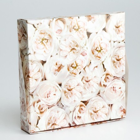 Folding box with the "Pion" window, 20 x 20 x 4 cm-1