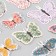 Butterflies cardboard "Flower. Tints" set 12 pcs h = 4-10 cm
