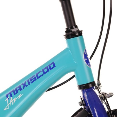 Bicycle 14 ’’ maximo jazz standard plus, mint color-4