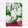 Pushkinia Lebanese alba, 6/+ rr, 10 pcs, 10-15 h (cm), autumn 2024