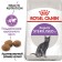 Dry food RC Sterilized 37 for sterilized cats, 10 kg