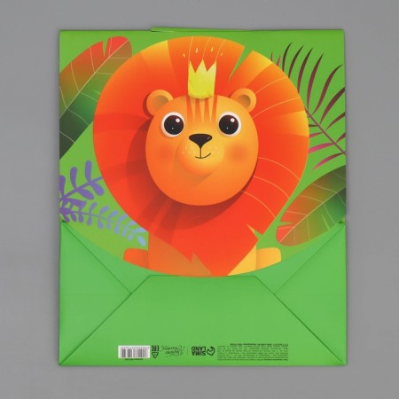 Gift package with a mold valve, packaging, “Lion”, 23 x 27 x 11.5 cm-8