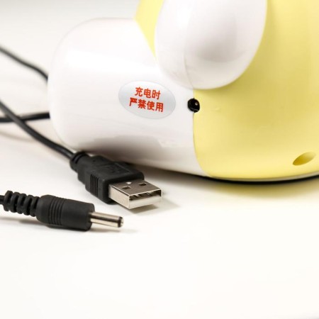 Table lamp 16286/1 15xLED 2W 2 USB MIX 10x11.5x19.5 cm Risalux-10