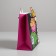 Gift package, packaging, SurPprise, 25 x 26 x 10 cm