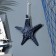 Interior souvenir "Marine Star" 23cm