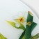 Bamboo Glass Plate, D = 21.5 cm