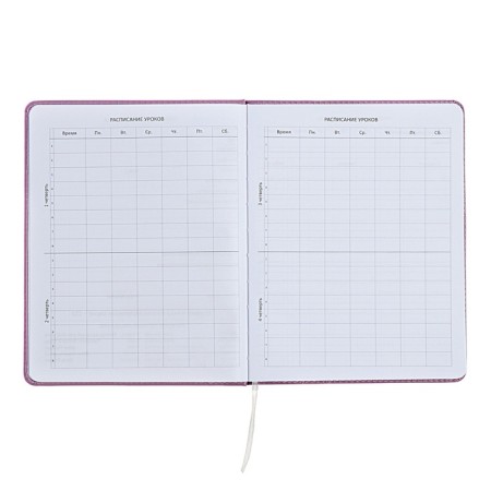 Universal diary for grade 1-11 Mentality, hard cover, artificial leather, liesse, 80 g/m2-4
