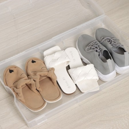 Box for storing shoes "Renome", 61 × 34 × 13 cm, transparent color-2
