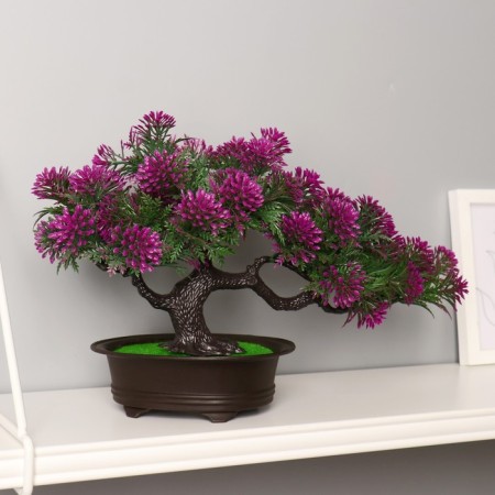 Bonsai "Star" 16x22 cm, mix-4