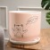 Flower pot "Myun", 5.4 l, mix