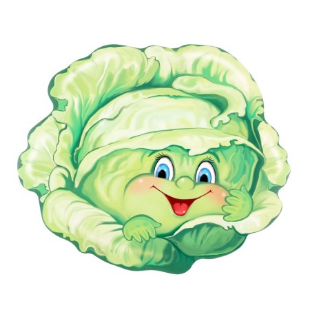 Cutship poster "cabbage" 23x22 cm