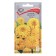 Cinnia flower seeds "Lilliput", yellow, 0.4g.