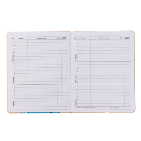 Universal diary for grade 1-11 Smile, solid cover, artificial leather, silk-screen printing, lies, 80 g/m2-4