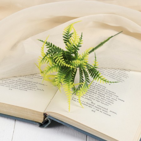 Bouquet "Wavy fern" 15 cm