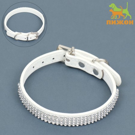 A collar with rows of 4 rows and rhinestones on a buckle, 38 x 1.5 cm, Osh 26-33, white