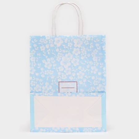 CRAFT package, blue, "thank you" 27 x 21 x 11 cm-2