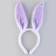 Children's rim "Bunny"