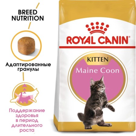 Dry food RC Kitten Main Coon for kittens of large rocks, 2 kg-2