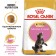 Dry food RC Kitten Main Coon for kittens of large rocks, 2 kg