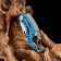 Multifunctional knife "Apis" 7cm, blade 60mm/1.7mm