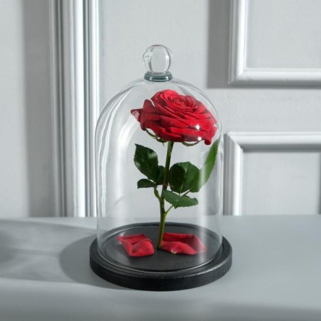 Glass dome-slosh with a ball on the stand "Rodrik", 24x15 cm, glass, black-1